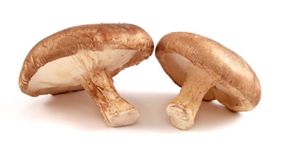 Exotic Mushrooms