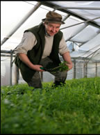 Wirral Watercress